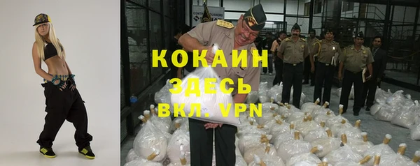 индика Покров