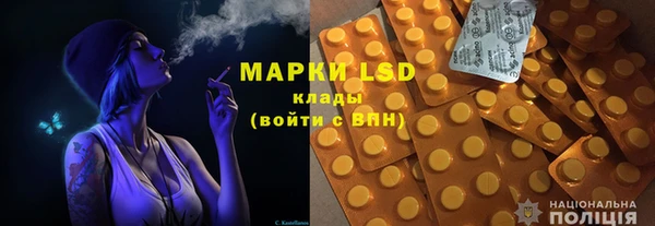 индика Покров