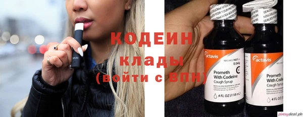 индика Покров