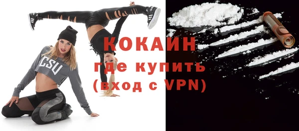 шишки Губаха