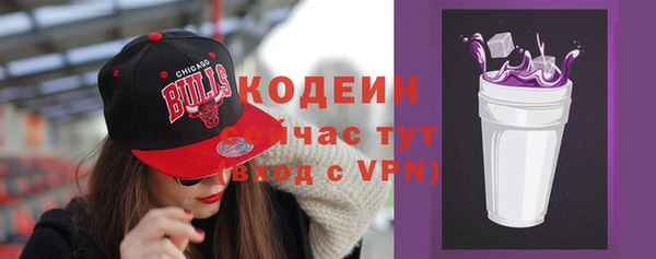 индика Покров