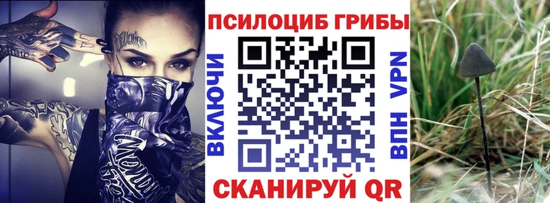 omg ссылки  Скопин  Псилоцибиновые грибы мицелий 